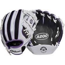 Wilson Sporting Goods Equipment Wilson A200 EZ Catch 10" Glove